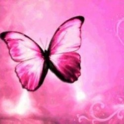 animated-pink-butterfly-picture1-300x225.jpg
