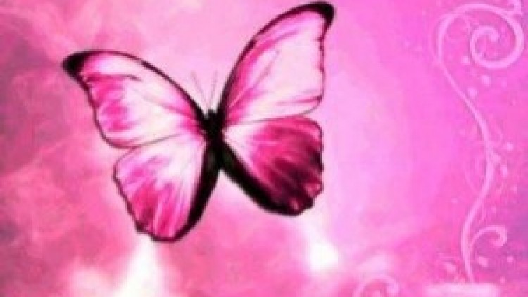 animated-pink-butterfly-picture1-300x225.jpg