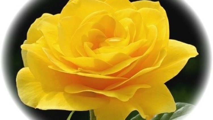 Laura Beth Hornsby, 75