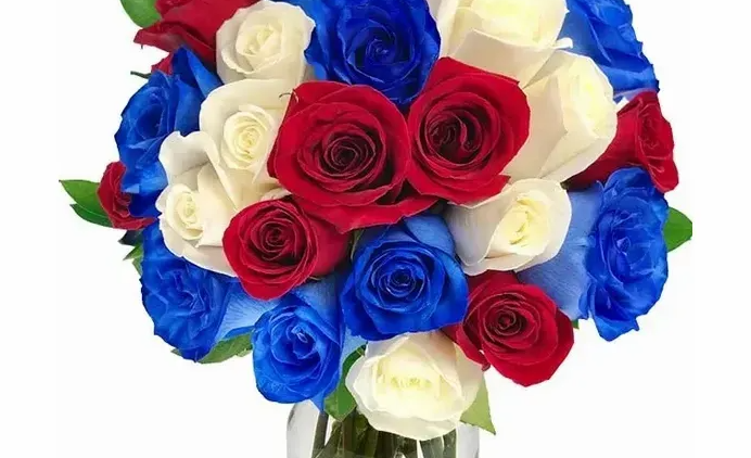 Rae “JoAnn” Jones, age 87