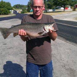 Markus Leverelle McGonigal, age 66