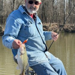 Louis E. Pavlicek, Jr., age 81