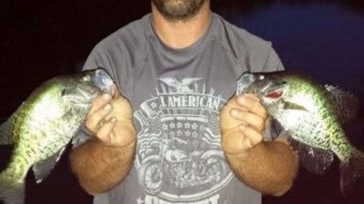 David Scott Mauldin Sr., age 51
