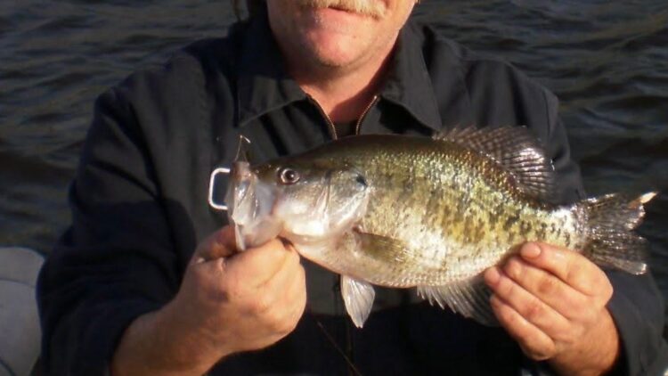 Robert Daniel Edwards, age 59